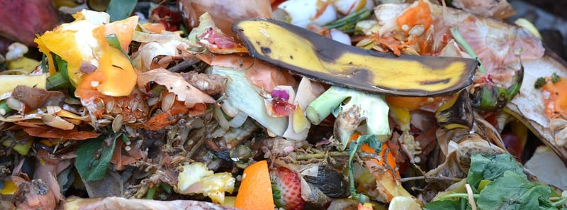 DIY Compost Bin